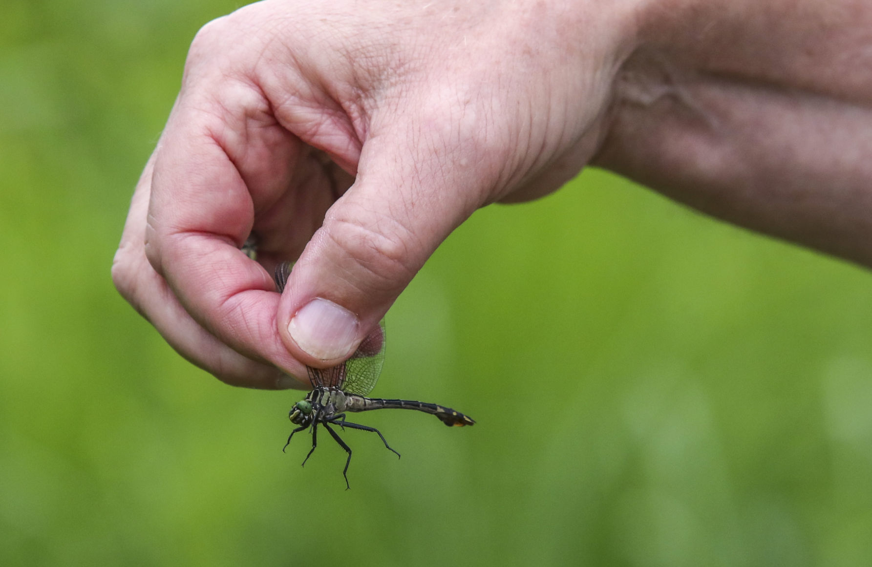 062218-qct-bioblitz-008